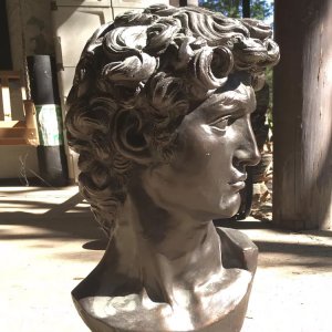 Bronze David Head Statue For Sale