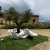 Lorenzo Quinn Olive Tree Sculpture For Sale - Image 2