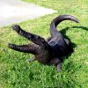 Bronze Crocodile Metal Sculpture For Garden - Image 3