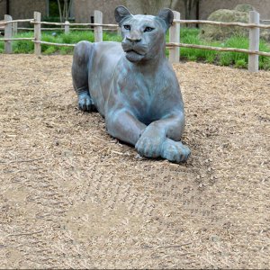 Bronze Lion Garden Statues For Sale