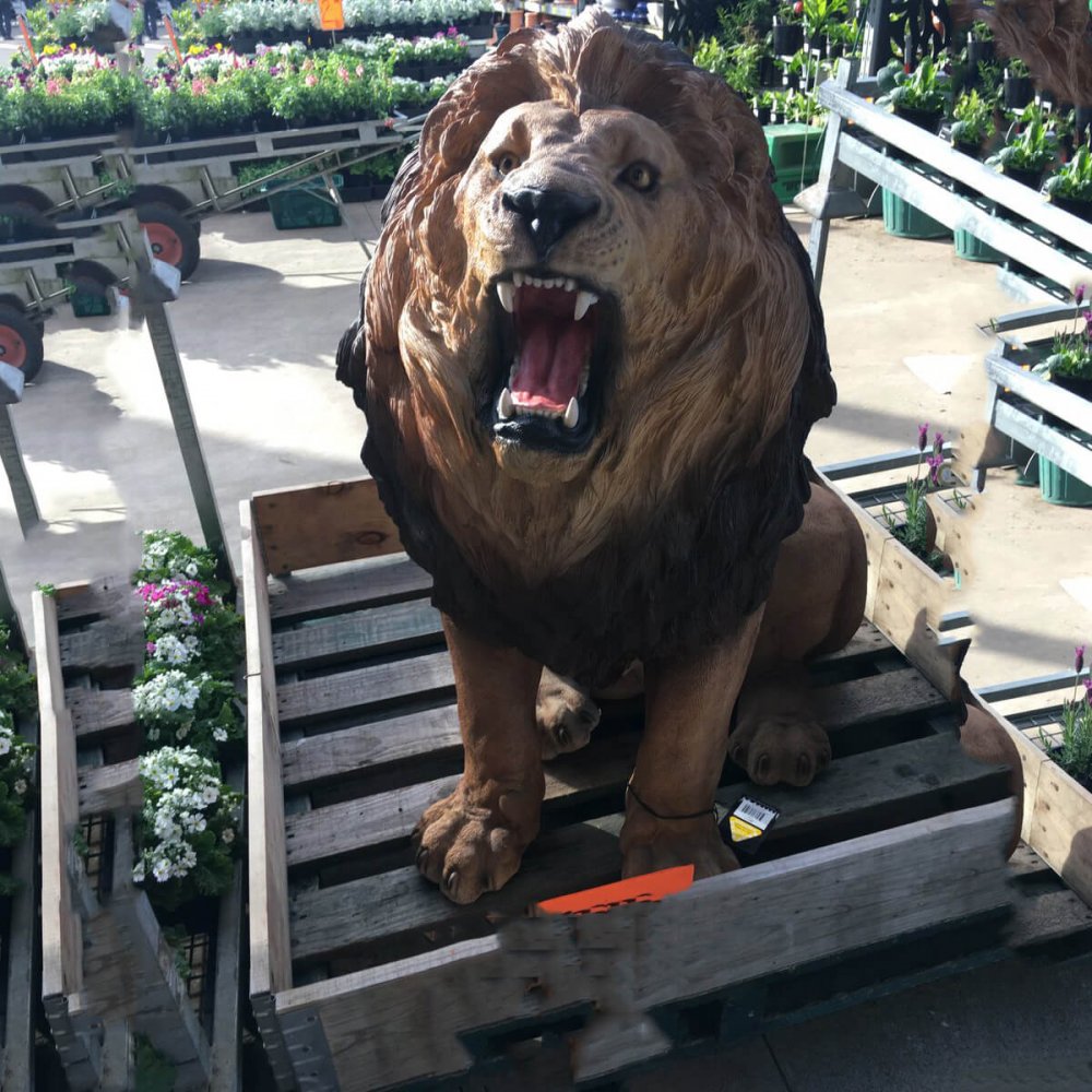 Factory Supply Fiberglass Funny Lion Statue - Image 3