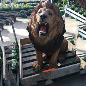 Factory Supply Fiberglass Lion Statue