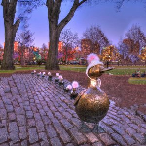 Garden Bronze Duck Statue Make Room For Ducklings For Sale