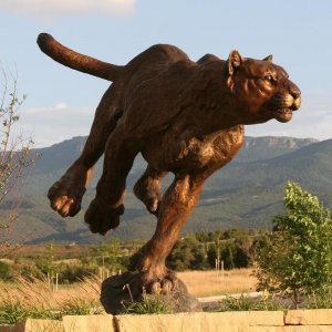 Hot Sale Outdoor Bronze Mountain Lion Sculpture