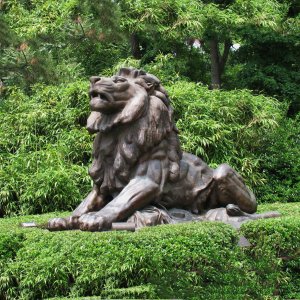 Wholesale Bronze Sitting Lion Garden Statue