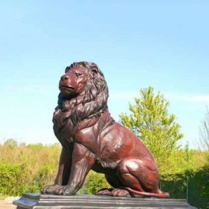 Garden Bronze Sitting Lion Sculpture For Sale