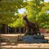 Standing Brass Tiger Sculpture For Sale - Image 2