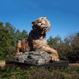 Sitting Bronze Tiger Statue For Sale